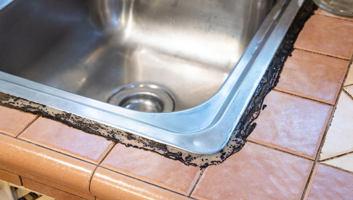 Cómo quitar el moho negro que aparece en la silicona de la cocina