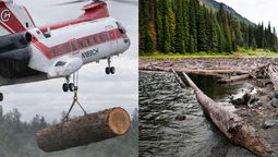 Helicópteros tiran troncos sobre ríos de Estados Unidos: más de 6.000 árboles con un objetivo crucial