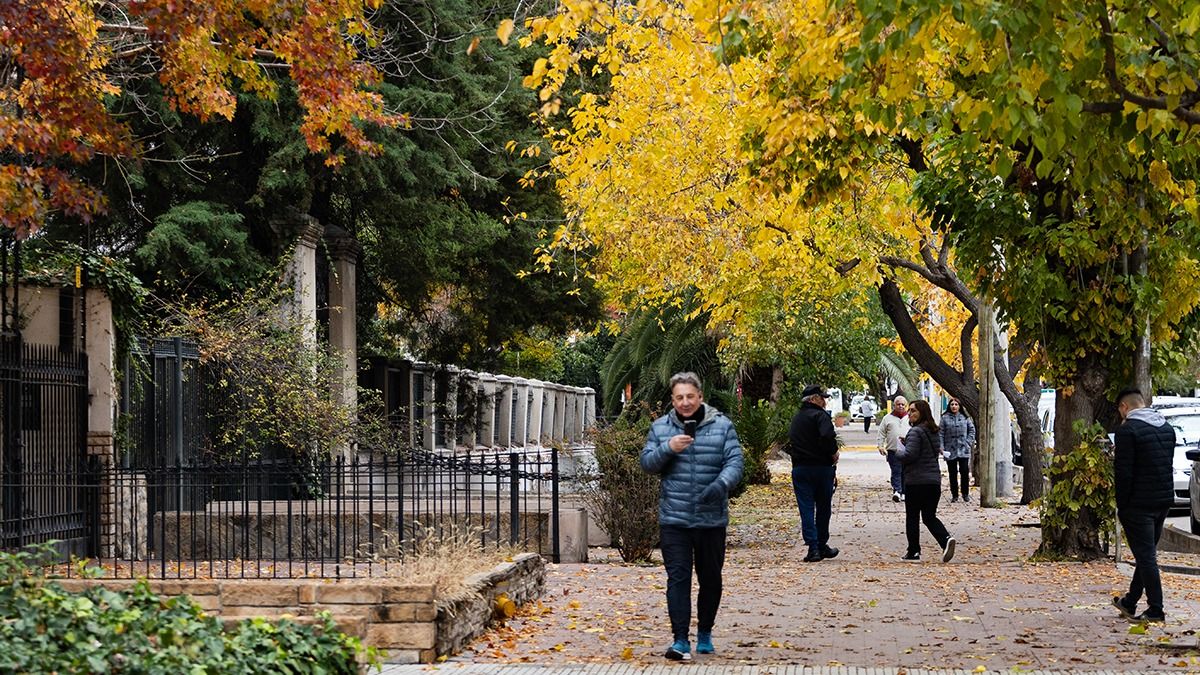 El pronóstico del tiempo en Mendoza adelantó que se viene una semana muy fría y con posibles lluvias en el llano.