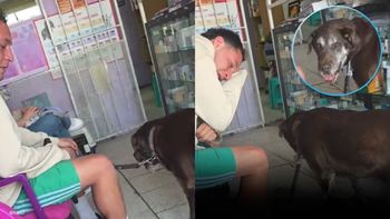 El desgarrador video de un hombre compartiendo los últimos minutos con su perro