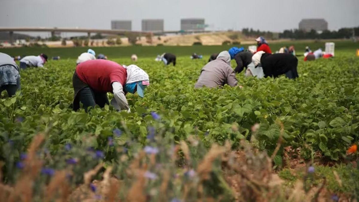 Las inspecciones laborales en California disminuyeron en un 30% entre 2017 y 2023.