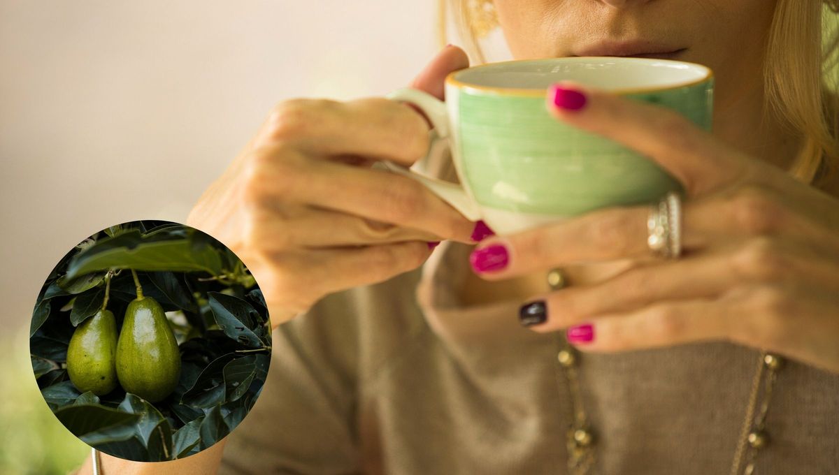 La hierba de este conocido fruto puede hacerse en infusión para aprovechar sus propiedades La hierba de este conocido fruto puede hacerse en infusión para aprovechar sus propiedades