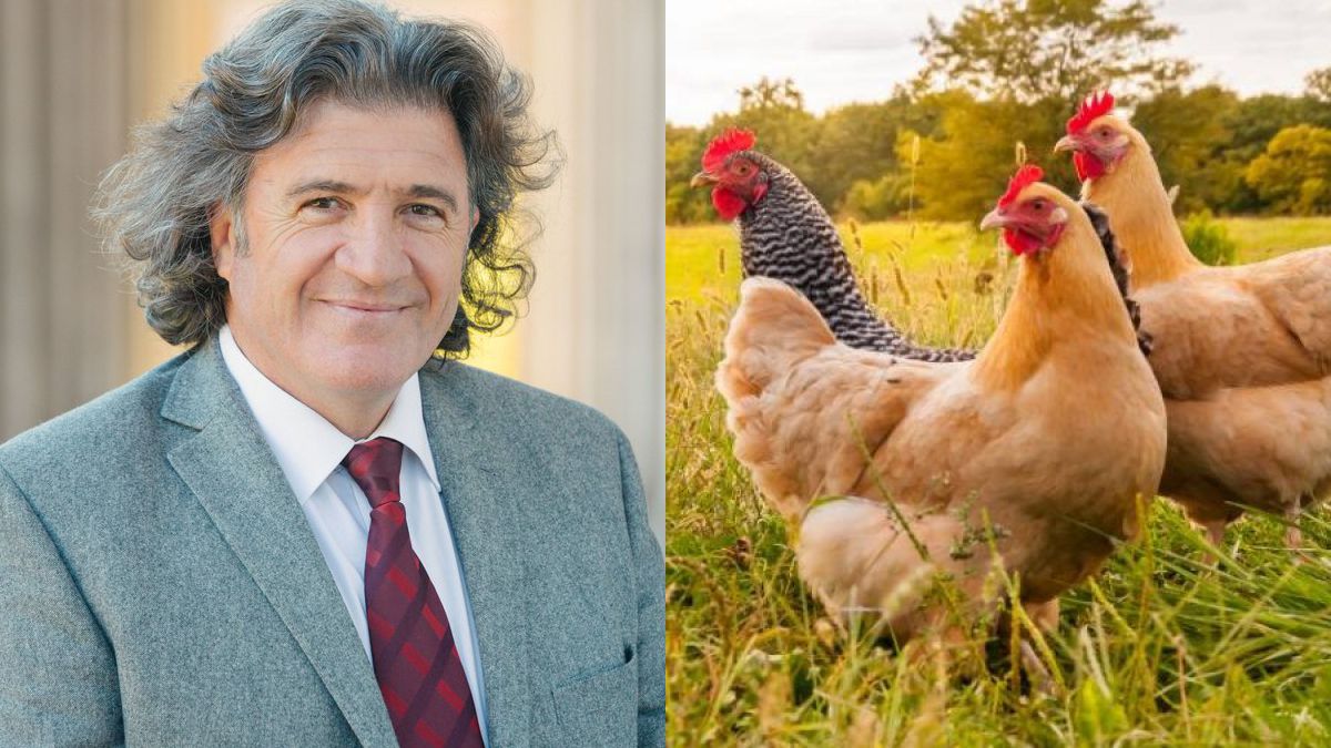 El proyecto de ley de Etiquetado de Huevos presentado por el diputado nacional José Luis Ramón, en alianza con organizaciones ecologistas, es objetado desde la producción avícola. Elevaría el precio del producto.