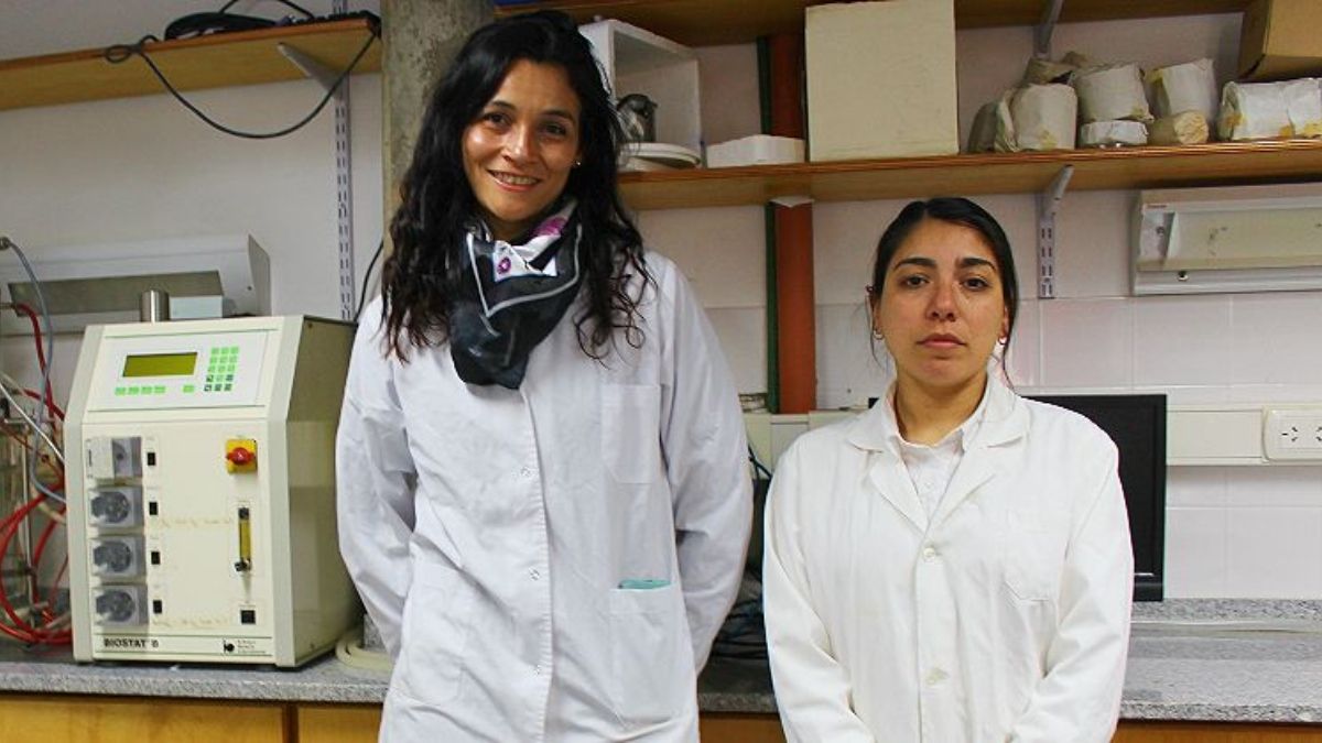 El glifosato es un herbicida de amplio espectro utilizado para la eliminación de hierbas y arbustos. (Foto: Agencia de Noticias Científicas UNQ)