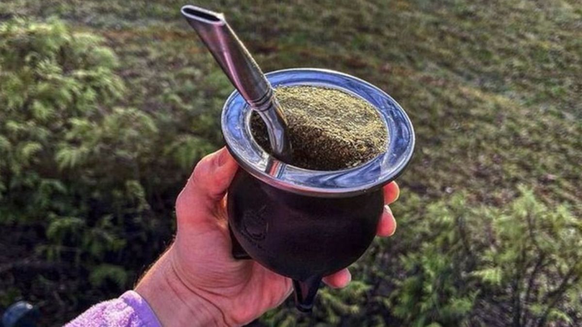 Un estudio científico estableció que el mate podría contribuir a combatir el Parkinson, que afecta a más de 10 millones de personas en el mundo Un estudio científico estableció que el mate podría contribuir a combatir el Parkinson, que afecta a más de 10 millones de personas en el mundo