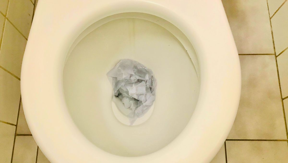 Un truco y algunos consejos para mantener el inodoro de la casa siempre destapado.