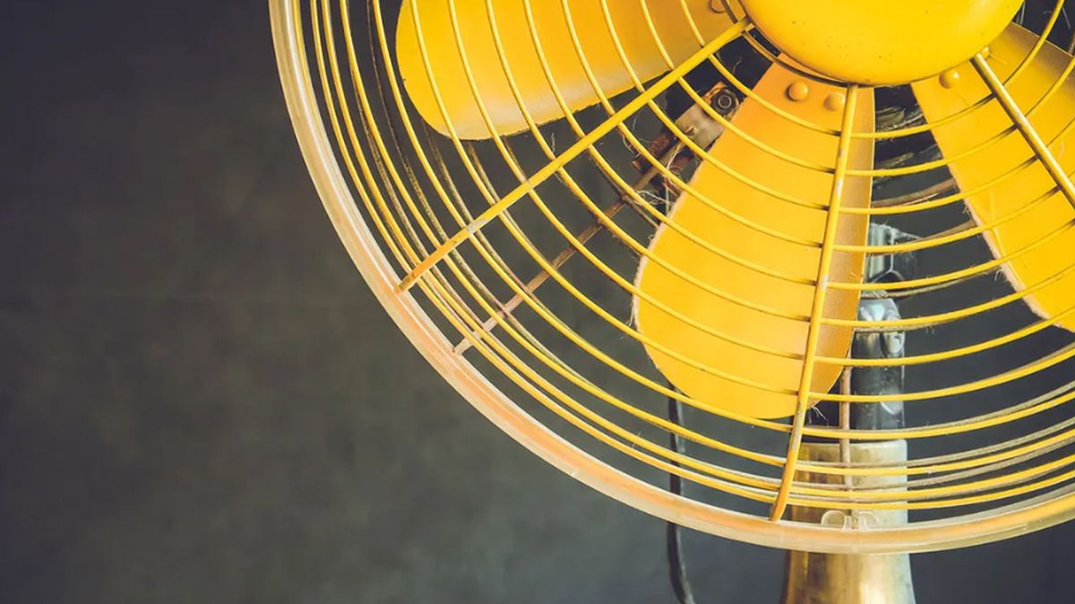 Con estos trucos de limpieza tu ventilador puede quedar espléndido. Con estos trucos de limpieza tu ventilador puede quedar espléndido.