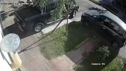Los perros de raza brasilera atacaron a una persona en Avellaneda, le comieron un brazo y casi lo mataron