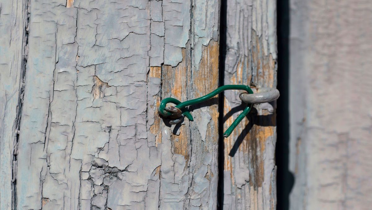 Las lenguas latinas provienen del latín vulgar, que no es lo mismo que el latín clásico. Las lenguas latinas provienen del latín vulgar, que no es lo mismo que el latín clásico. 