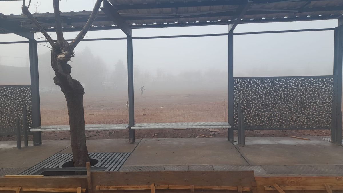 El pronóstico del tiempo alertó por niebla en Mendoza