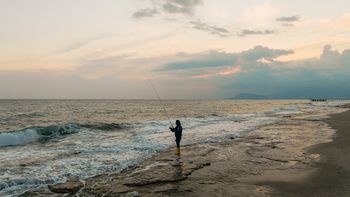 Cómo el calentamiento del mar favorece la expansión de bacterias como Vibrio vulnificus Cómo el calentamiento del mar favorece la expansión de bacterias como Vibrio vulnificus