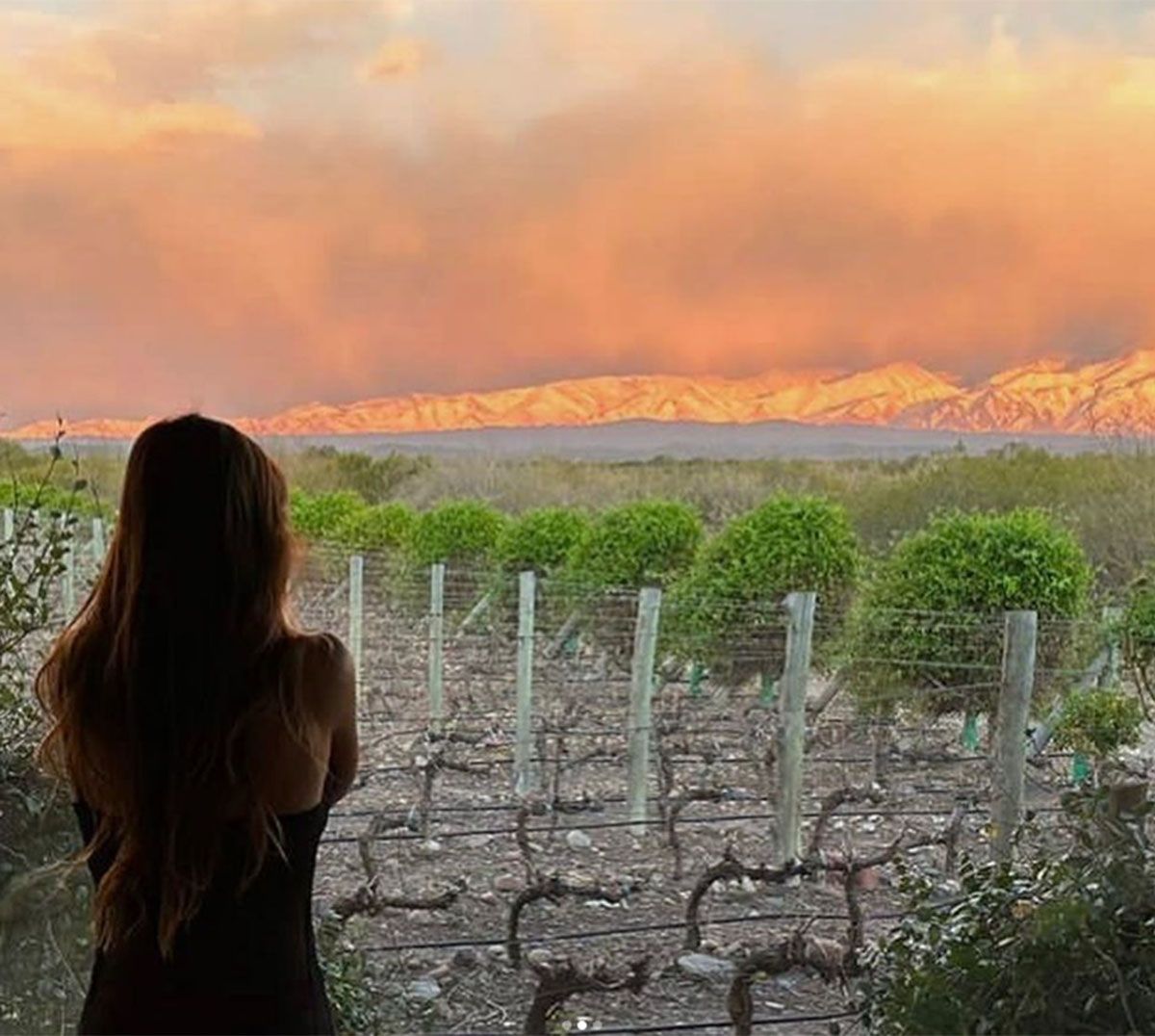 Arianna Surur, la novia de Cabré admirando la montaña de Mendoza. Arianna Surur, la novia de Cabré admirando la montaña de Mendoza.