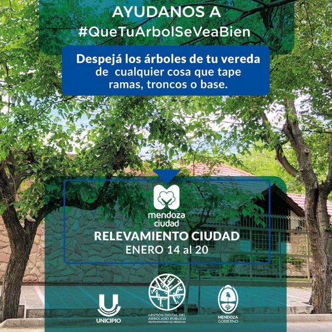 Un vehículo equipado con tecnología LIDAR y una cámara realizará un mapeo móvil de 360º del arbolado público de la ciudad de Mendoza.