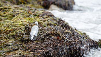 Recibió una respuesta a su mensaje 40 años después de lanzarlo en una botella al mar