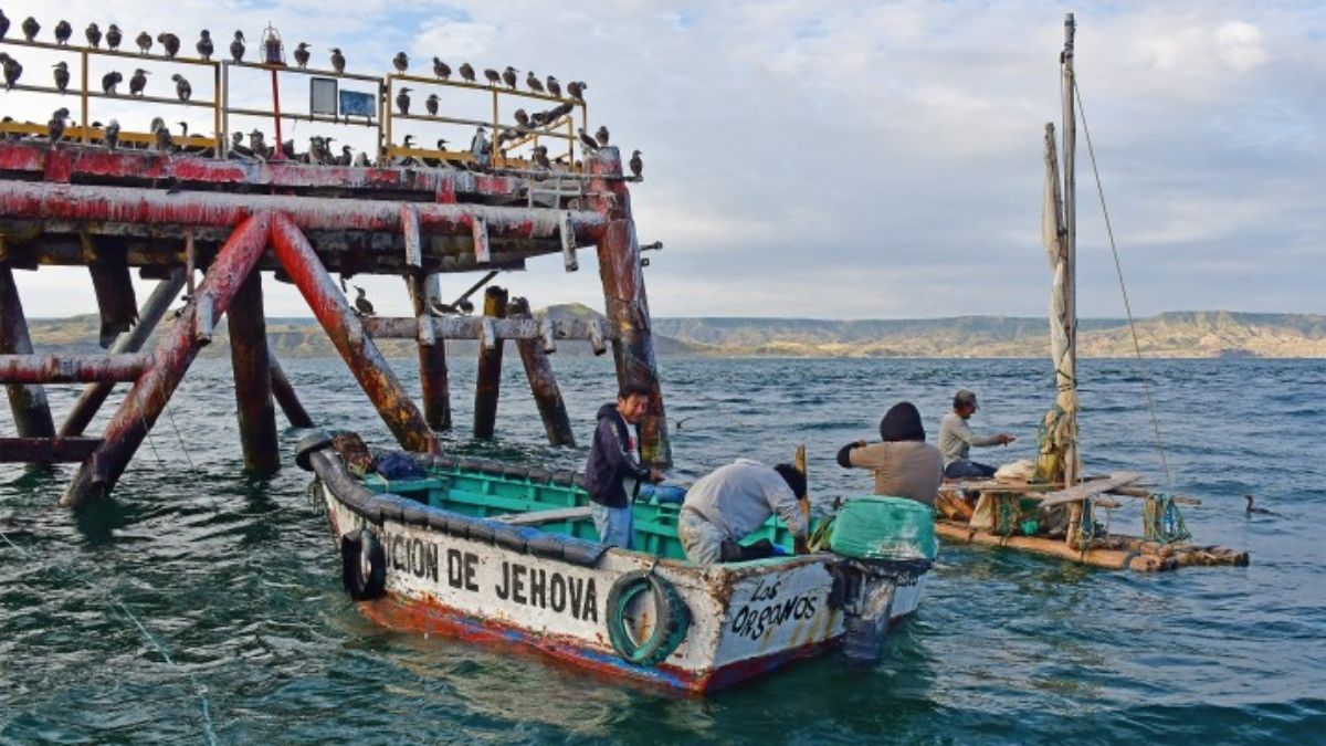 La pesca artesanal es una de las muchas actividades económicas que han surgido en torno a la plataforma MX-1. (Foto: Yuri Hooker) La pesca artesanal es una de las muchas actividades económicas que han surgido en torno a la plataforma MX-1. (Foto: Yuri Hooker)