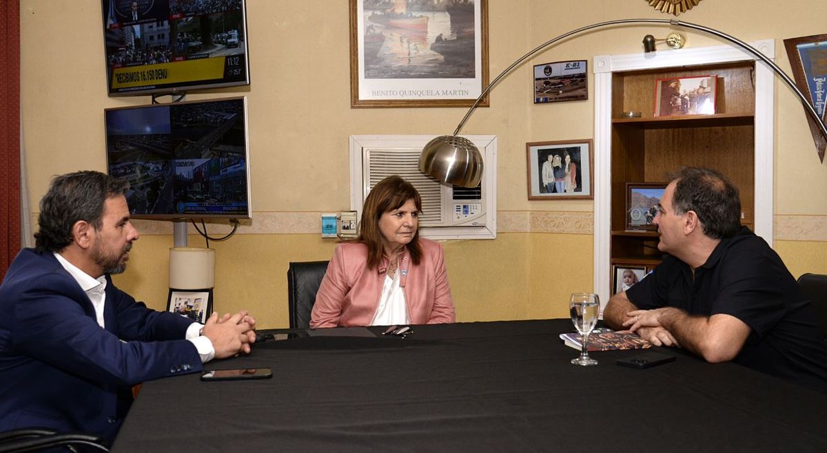 Por favor. Patricia Bullrrich les hizo un pedido casi desesperado a los legisladores de su espacio.