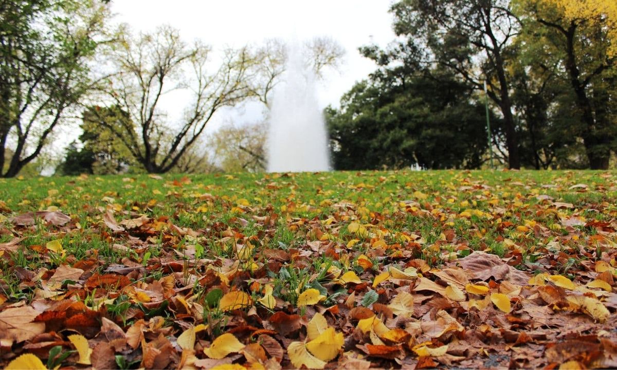 Observa la temperatura: cuándo se debe cortar el césped por última vez en otoño Observa la temperatura: cuándo se debe cortar el césped por última vez en otoño