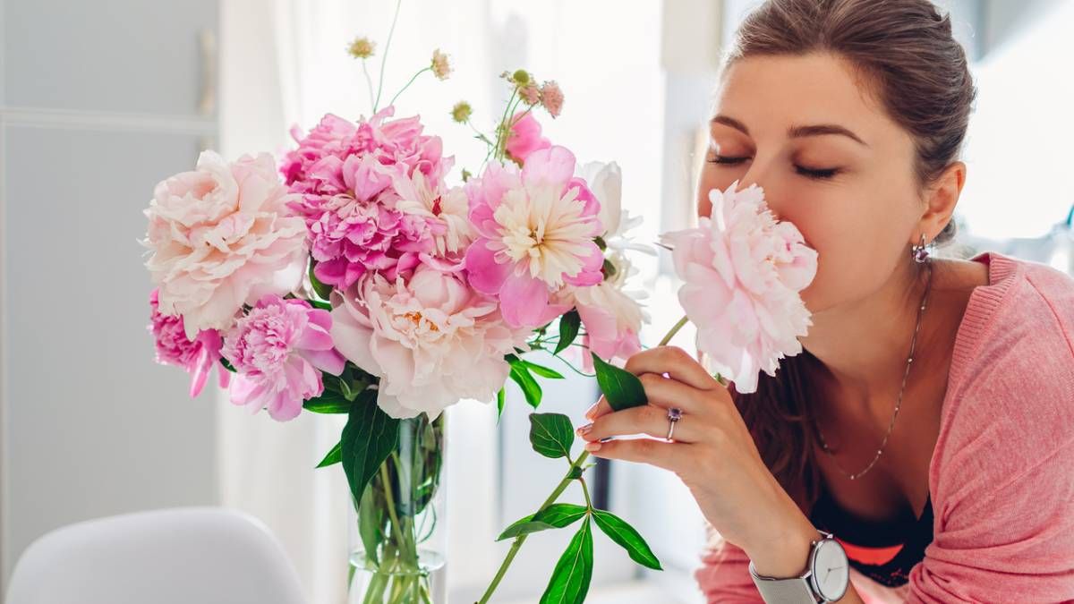 ¿Quieres atraer amor a tu hogar? Estas son las 6 plantas de interior que te ayudarán