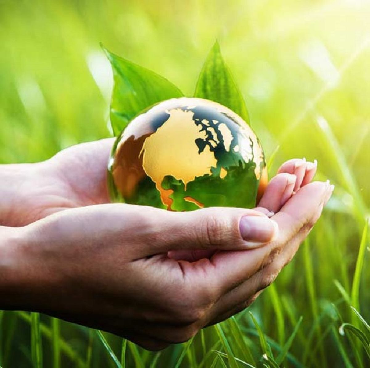 La Universidad de Congreso es punto de encuentro para poner en valor la labor de los mendocinos en materia de preservación del ambiente.