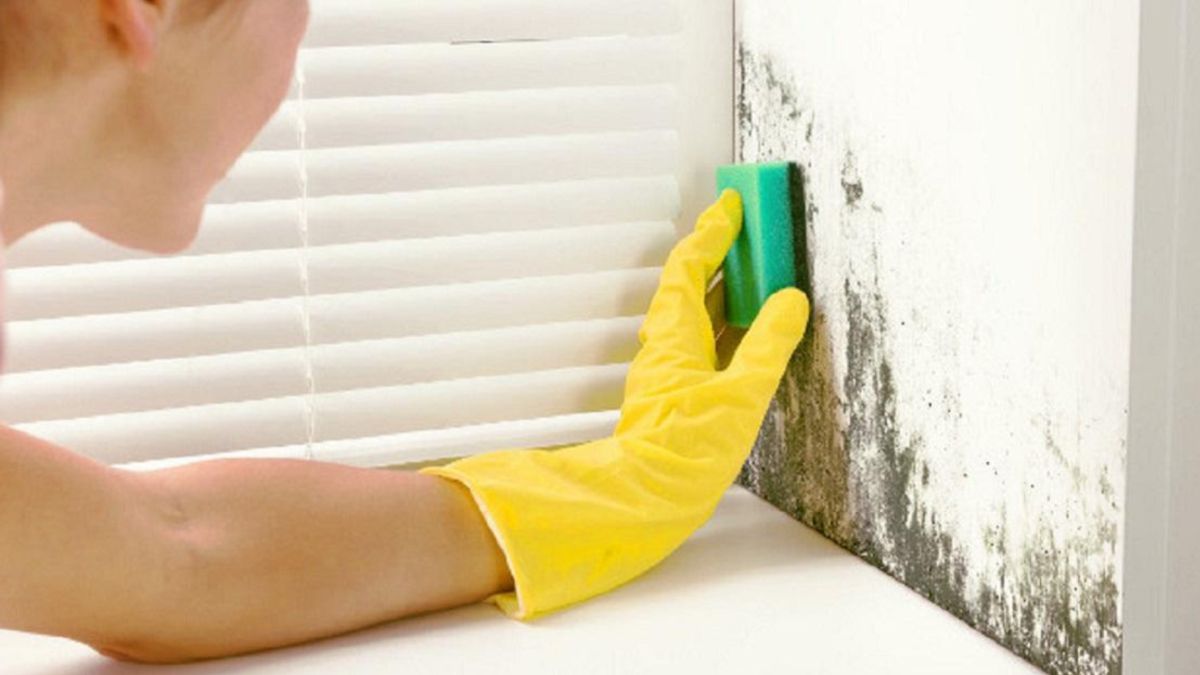 Limpiar las manchas de humedad es posible con distintos trucos caseros naturales.