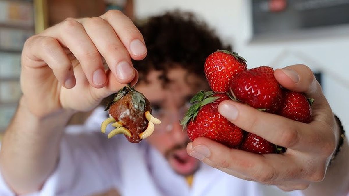 Olvida el bicarbonato: la preparación de dos ingredientes que elimina los bichos de las frutas Olvida el bicarbonato: la preparación de dos ingredientes que elimina los bichos de las frutas