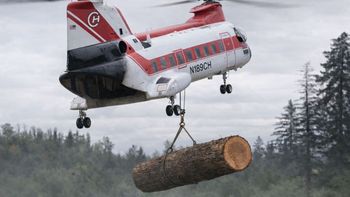 Helicópteros están arrojando troncos sobre ríos de Estados Unidos: más de 6.000 árboles con un objetivo vital Helicópteros están arrojando troncos sobre ríos de Estados Unidos: más de 6.000 árboles con un objetivo vital