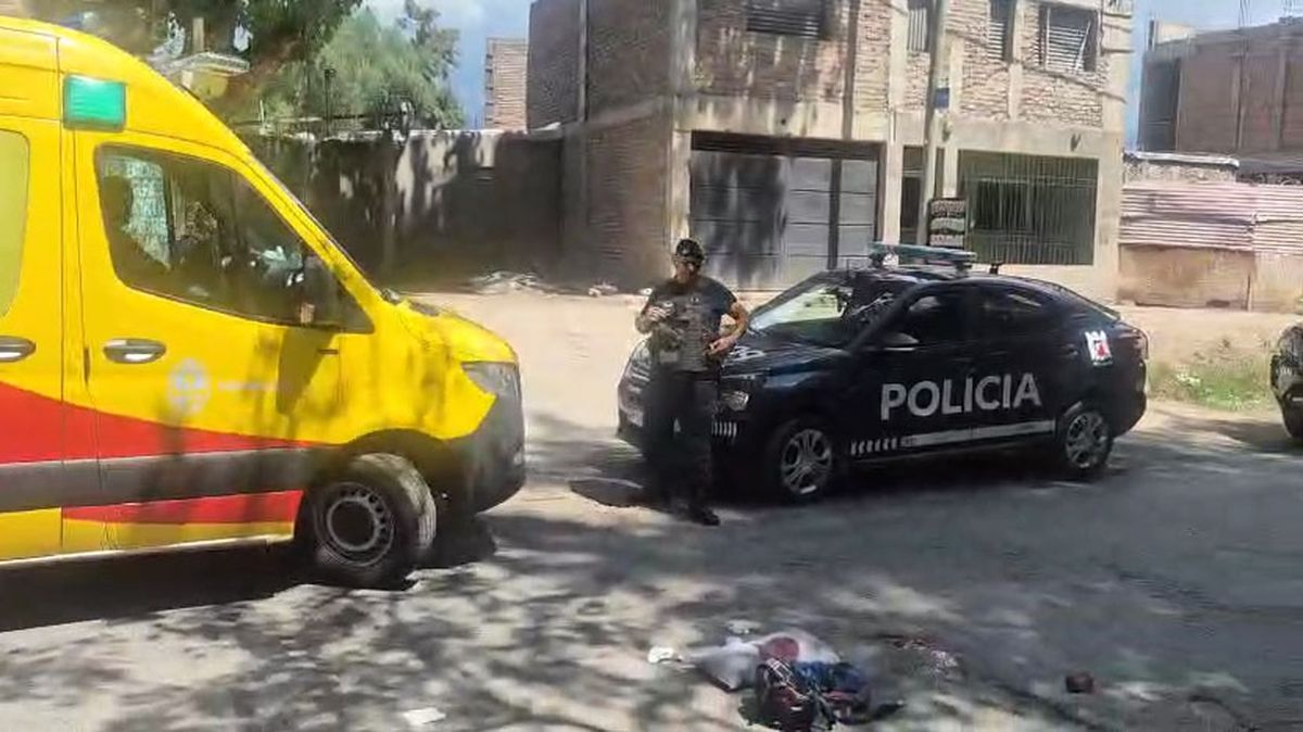 La Policía busca a los dos delincuentes que golpearon y asaltaron a un ciclista en Capital. La Policía busca a los dos delincuentes que golpearon y asaltaron a un ciclista en Capital.