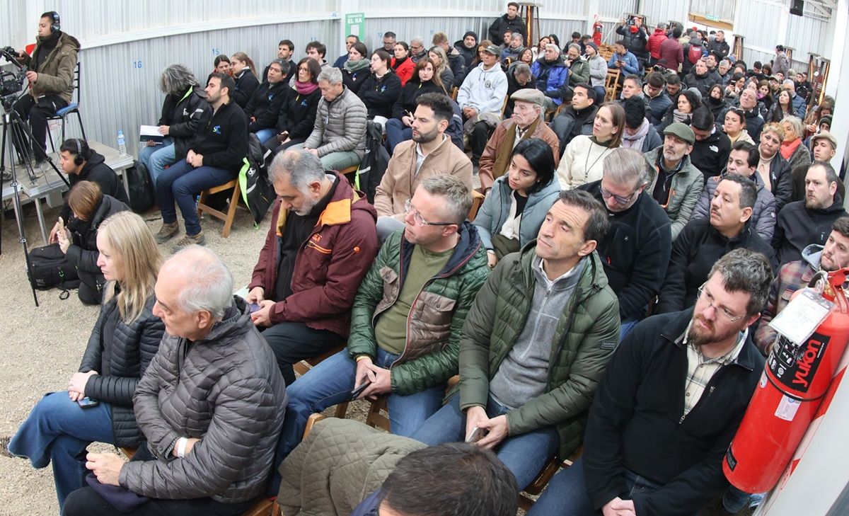 La Audiencia Pública por PSJ Cobre Mendocino pasó su primera jornada. Hubo opiniones técnicas, de la comunidad y la explicación técnica de la minera.