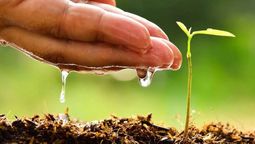 ¿Medio ambiente o medioambiente?: la Real Academia Española lo tiene bien claro y así lo explicó