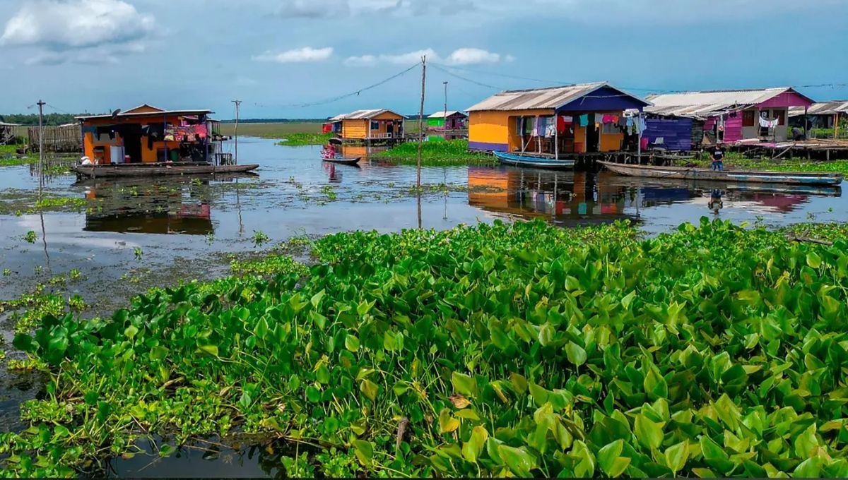 El pueblo de América del Sur que es una expeción en el mundo 