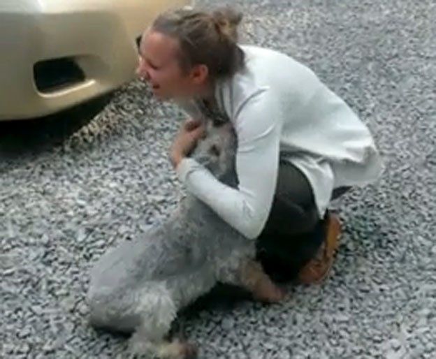 La increíble reacción de un perro después de dos años sin ver a su amiga