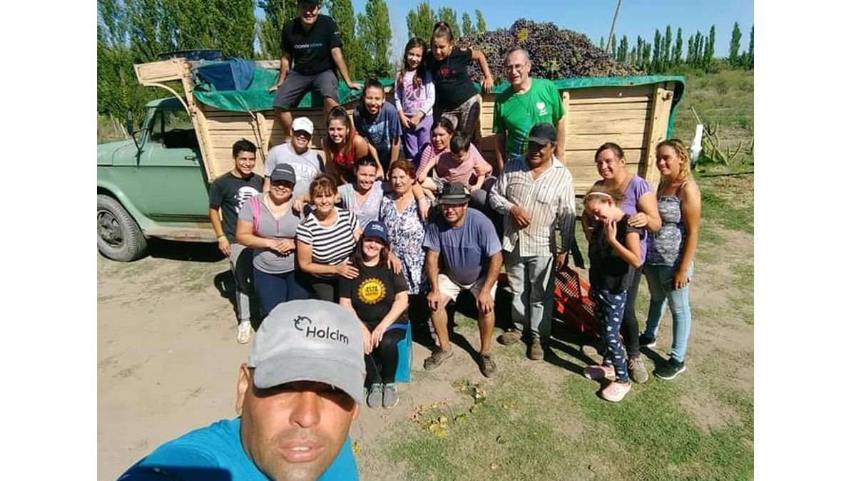 La familia Basles mantiene la tradición de cosechar.