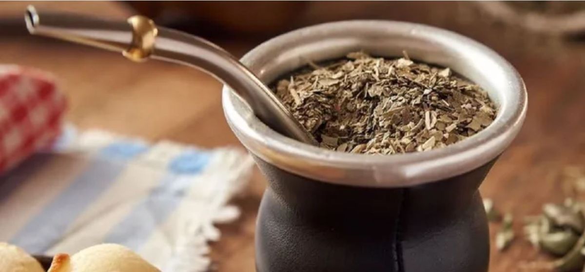 Alimento saludable. Beneficios de tomar mate.