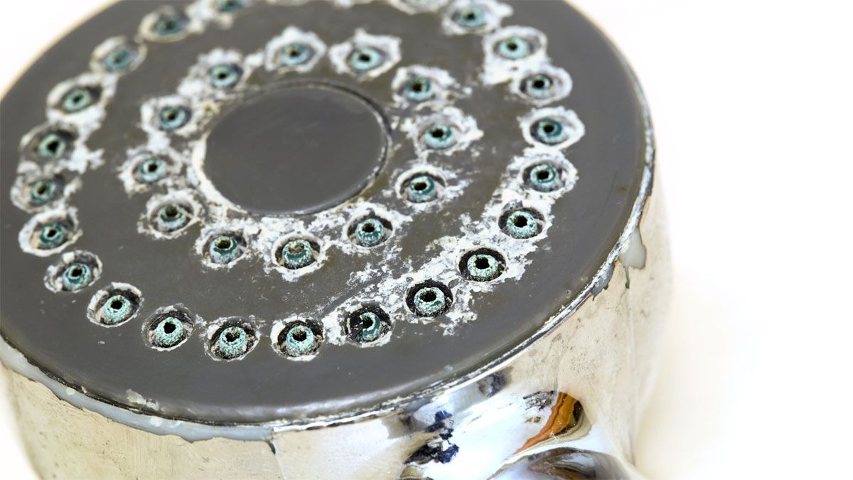 Cómo limpiar el sarro de la flor de la ducha del baño