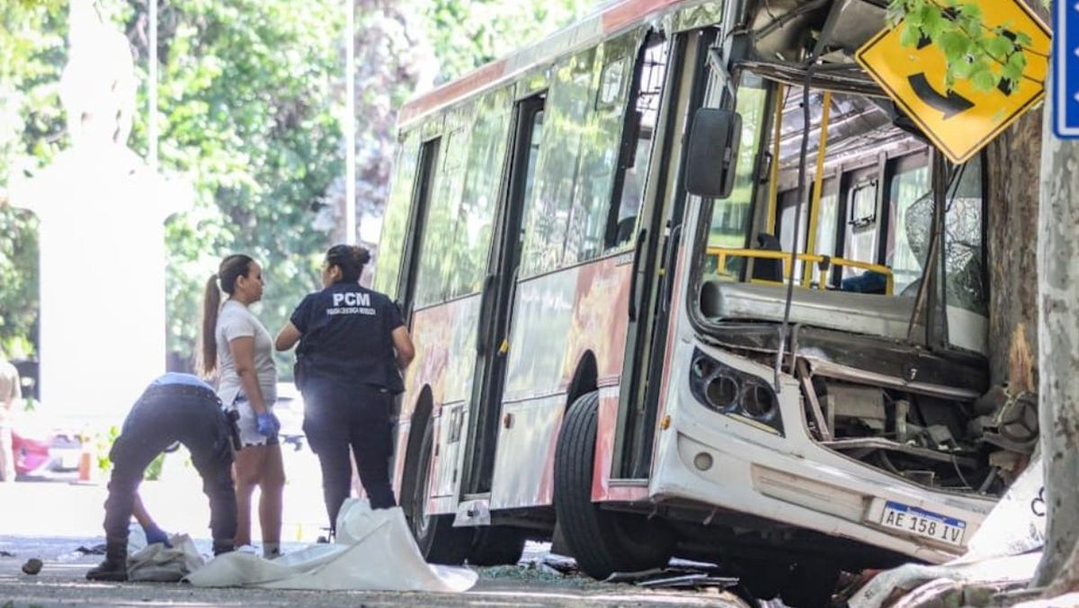 Una de las tantas imágenes que dejó la tragedia de este domingo en el parque San Martín.