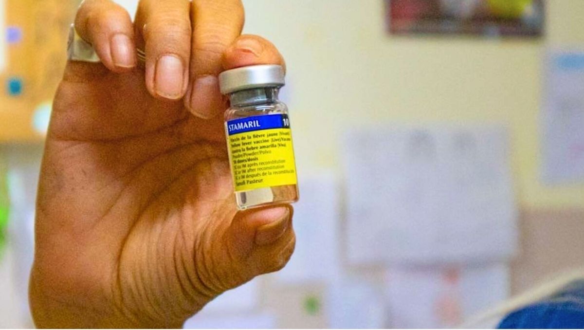 La vacuna contra la fiebre amarilla no se exige en la mayoría de los estados brasileños, pero la OMS la recomienza para viajar a Brasil. La vacuna contra la fiebre amarilla no se exige en la mayoría de los estados brasileños, pero la OMS la recomienza para viajar a Brasil.