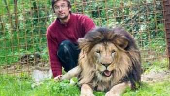Un león se devoró a su dueño que lo criaba a escondidas en su casa