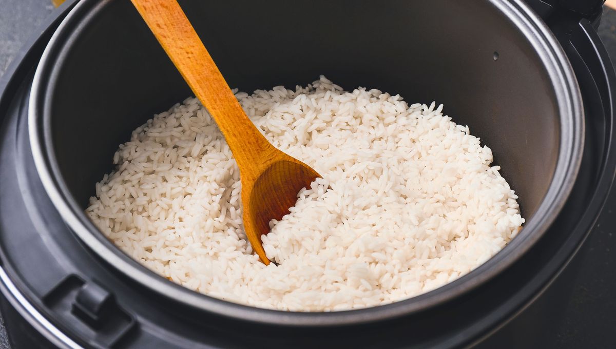 El arroz hervido es muy sano. Este alimento es fuente de energía, fibra y minerales El arroz hervido es muy sano. Este alimento es fuente de energía, fibra y minerales