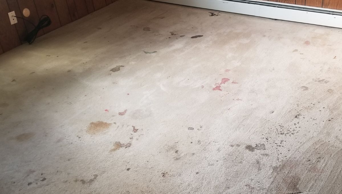 Las alfombras acumulan ácaros de polvo. Las alfombras acumulan ácaros de polvo.