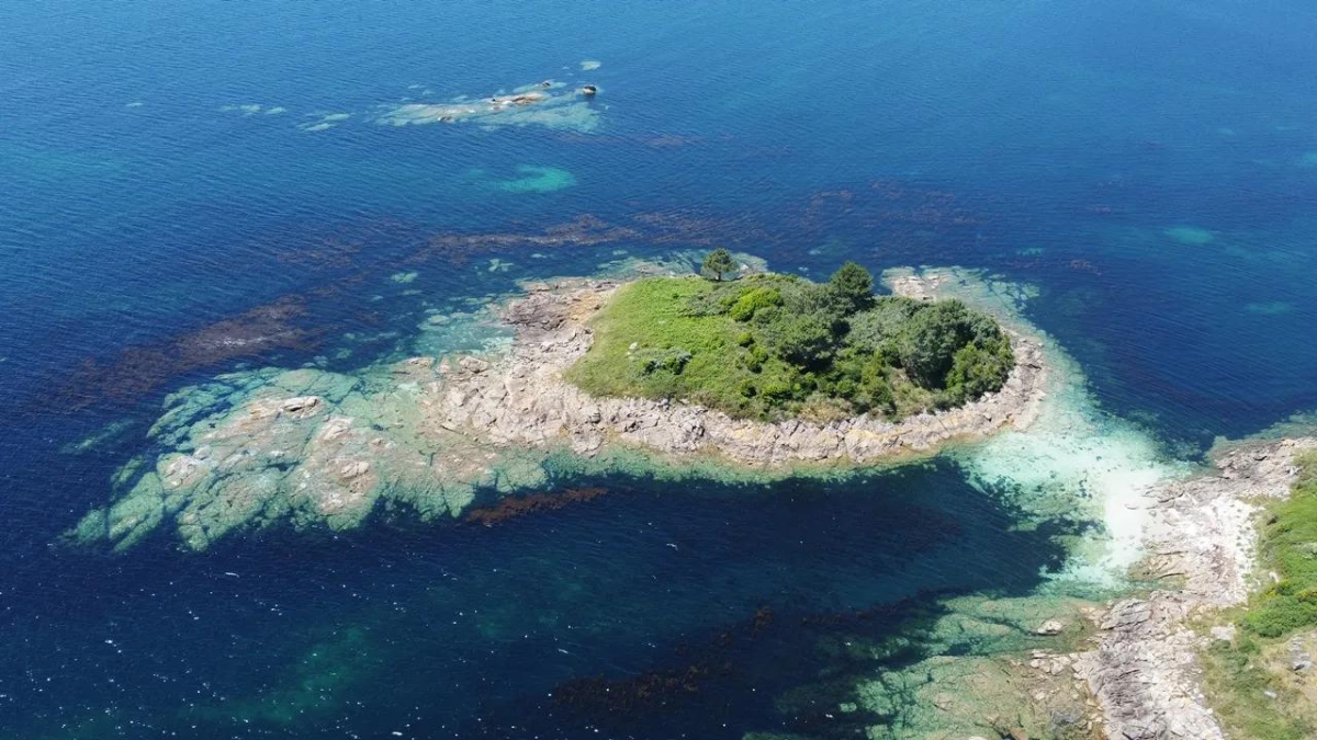 La isla Santa Catalina es la más encantadora de California.