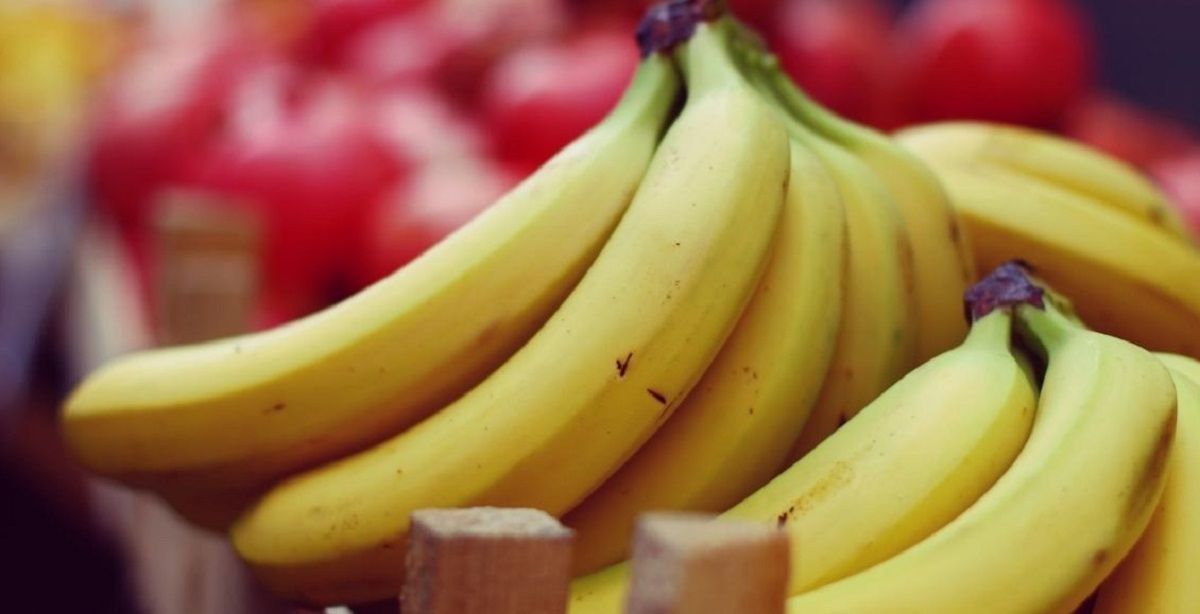 La banana es de las frutas más conocidas e ingeridas a nivel mundial.