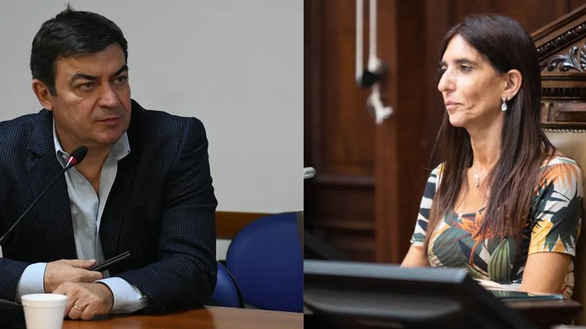 Omar De Marchi y la senadora Natacha Eisenchlas tuvieron el primer enfrentamiento por la creación de Impulsa Mendoza.