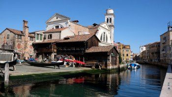 El agua de los canales de Venecia se volvió cristalina por la cuarentena que afecta a Italia