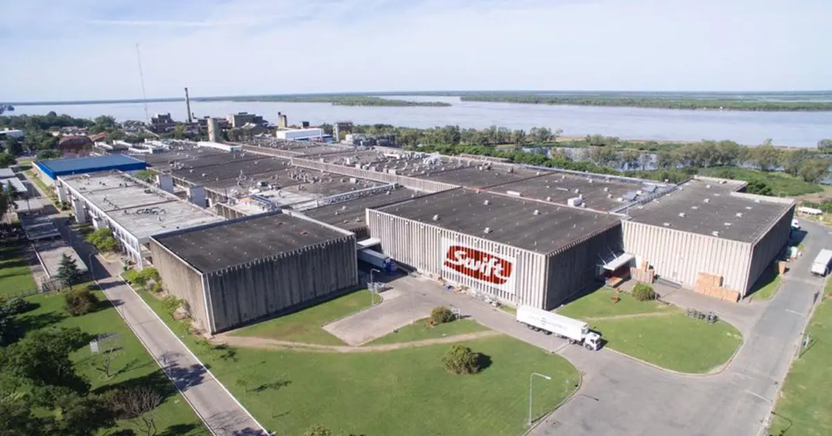 El frigorífico importador Swift ya destinó 4 contenedores de carne brasilera a Mendoza El frigorífico importador Swift ya destinó 4 contenedores de carne brasilera a Mendoza