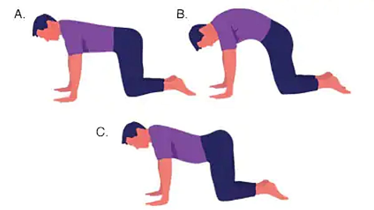 Hay ejercicios de espalda como el estiramiento de gato que ayudan a fortalecer la espalda fácilmente.