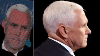 Una mosca en la cabeza de Pence se robó el 
