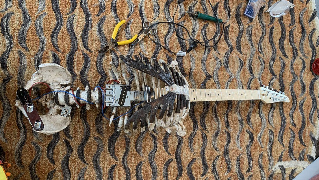 Viola heavy. Se hizo una guitarra con el esqueleto de su tío muerto.
