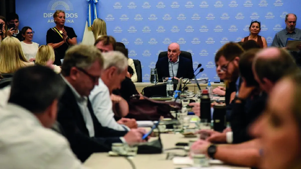 El oficialismo logró el dictamen de mayoría para avanzar con la suspensión de las PASO este jueves.&nbsp;