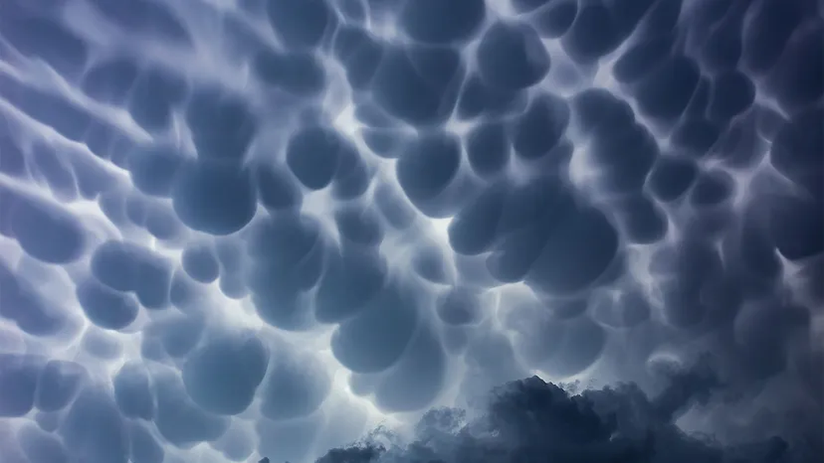 Las protuberancias, que vemos en forma de mama, son las zonas donde se dan unos máximos de hundimiento de la base de la nube. Las protuberancias, que vemos en forma de mama, son las zonas donde se dan unos máximos de hundimiento de la base de la nube.