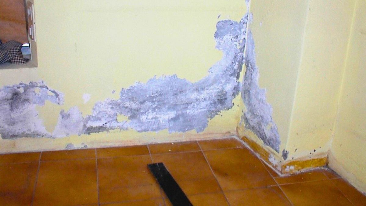 Hay muchas maneras para erradicar la humedad y salitre que se forma en la pared de la casa.